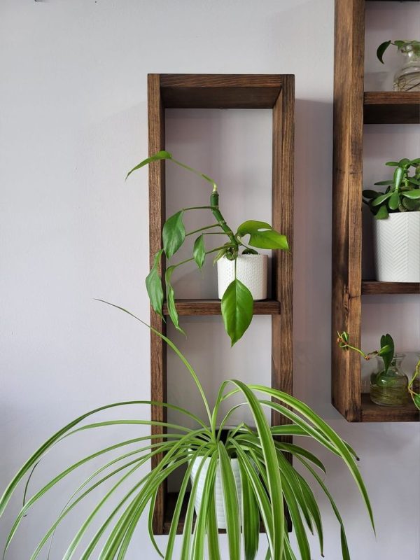 Organized Box Shelves - Image 4