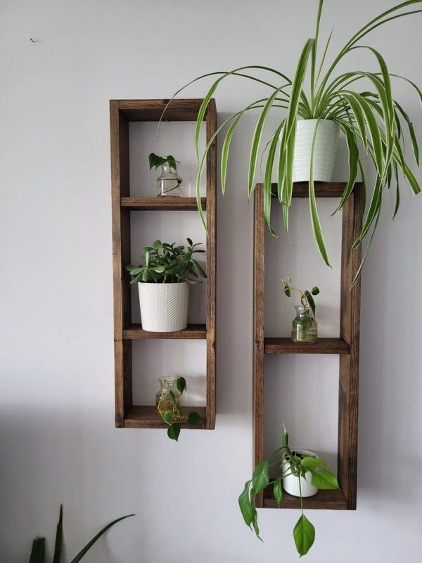 Organized Box Shelves